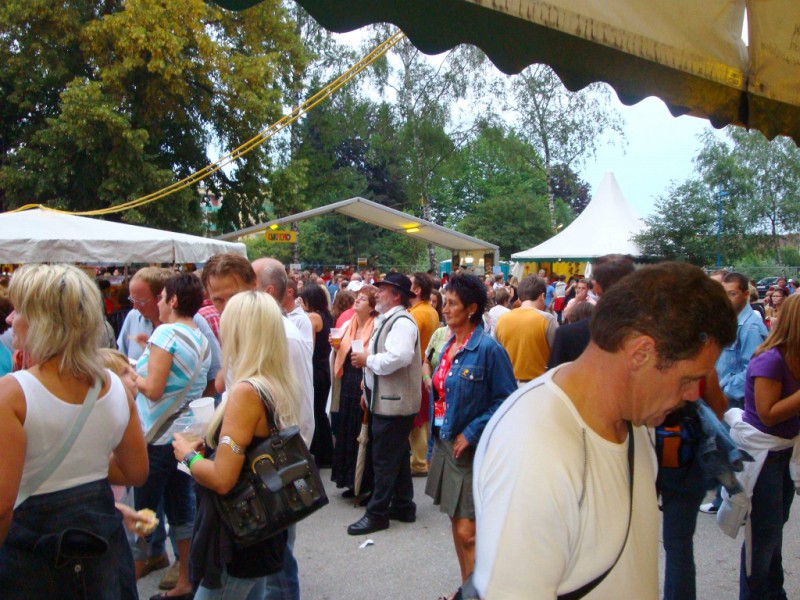 Radio OÖ Sommer Open Air 2008