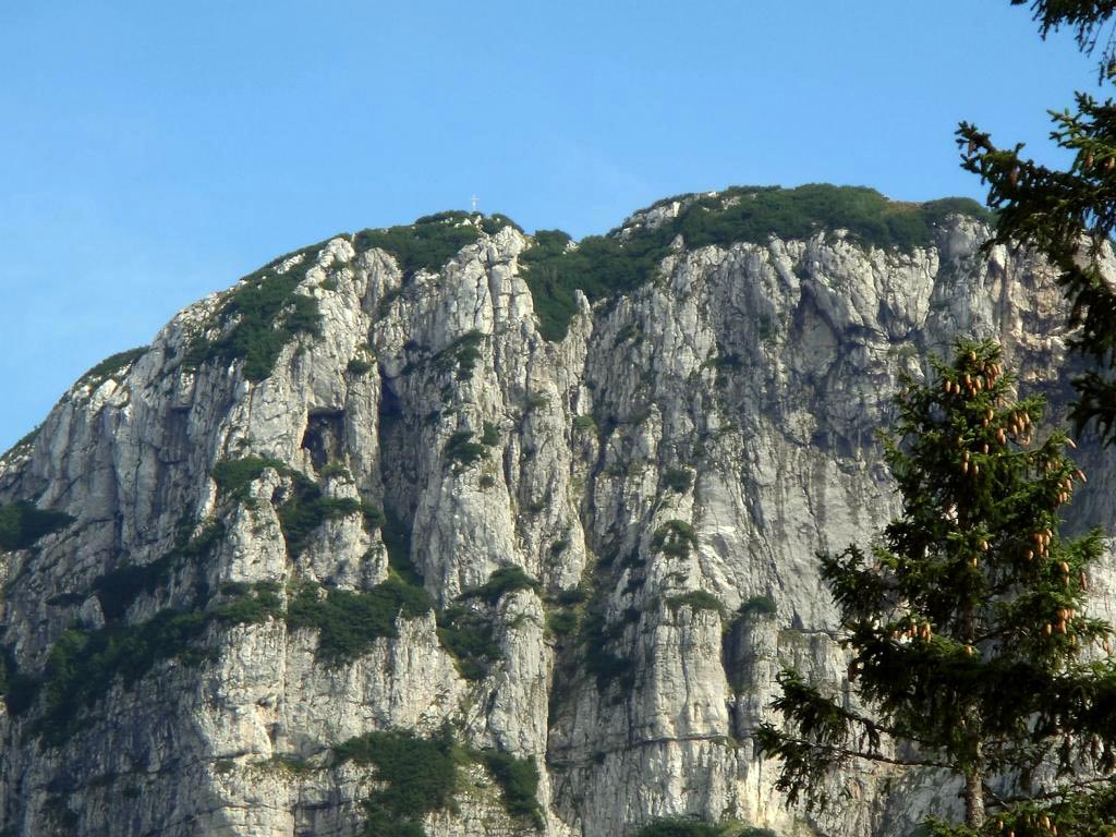 Bergmesse auf der Sandling-Alm