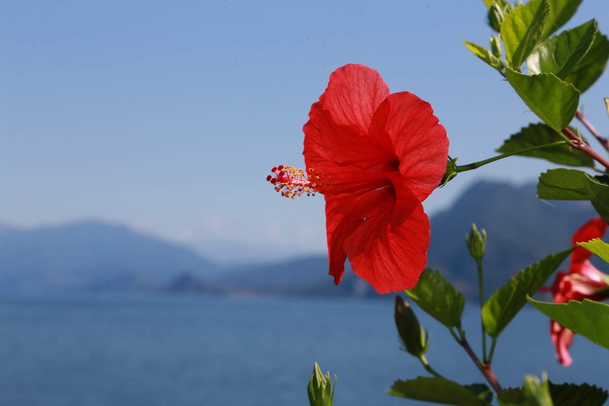 Musikausflug-Tag 2-Lago Maggiore