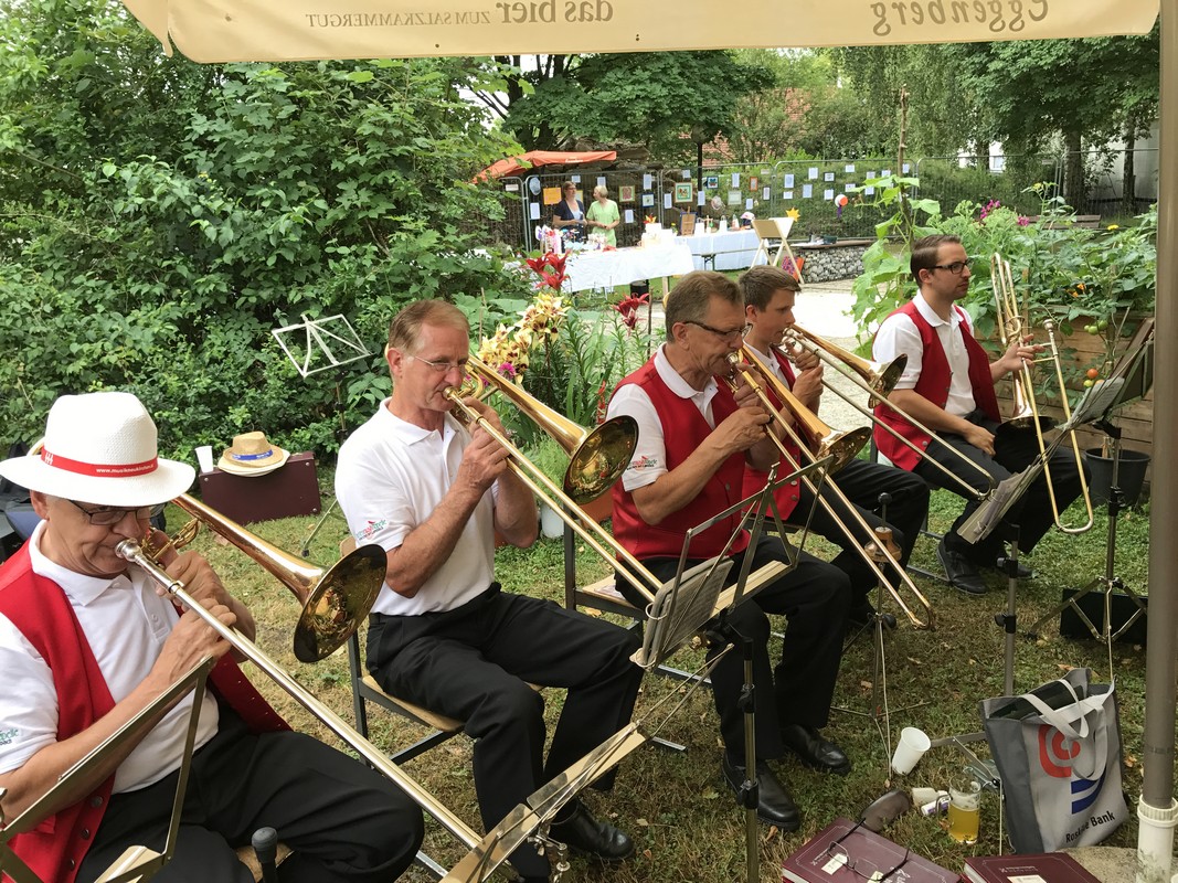 Frühschoppen Bezirksaltenheim Lambach 2017