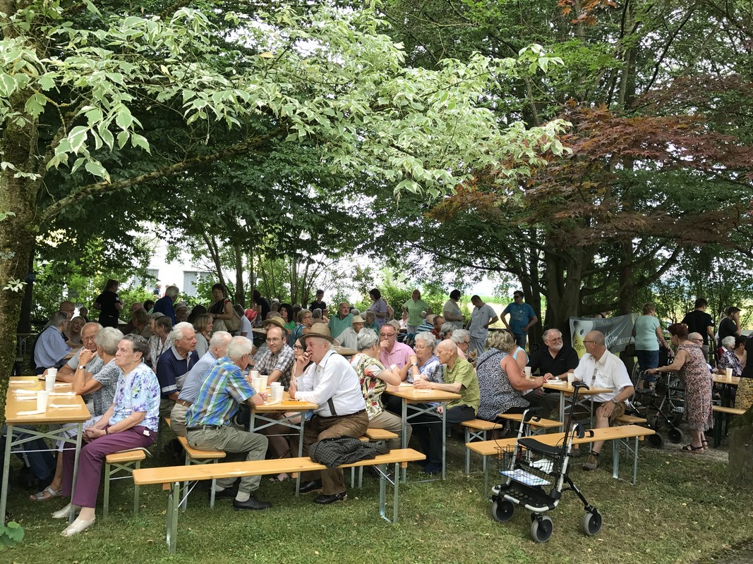 Frühschoppen Bezirksaltenheim Lambach 2017