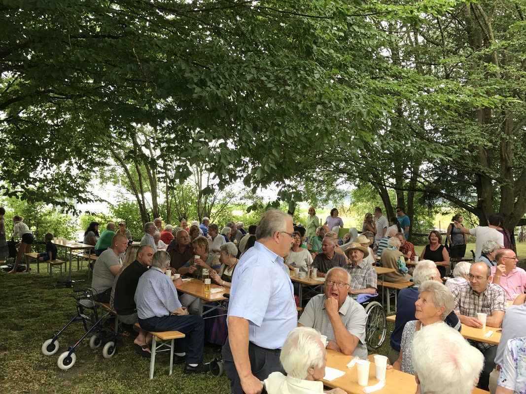 Frühschoppen Bezirksaltenheim Lambach 2017
