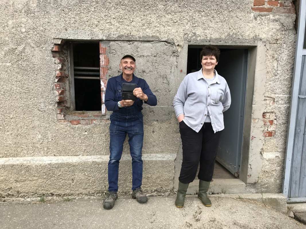 Maimusik Neukirchen