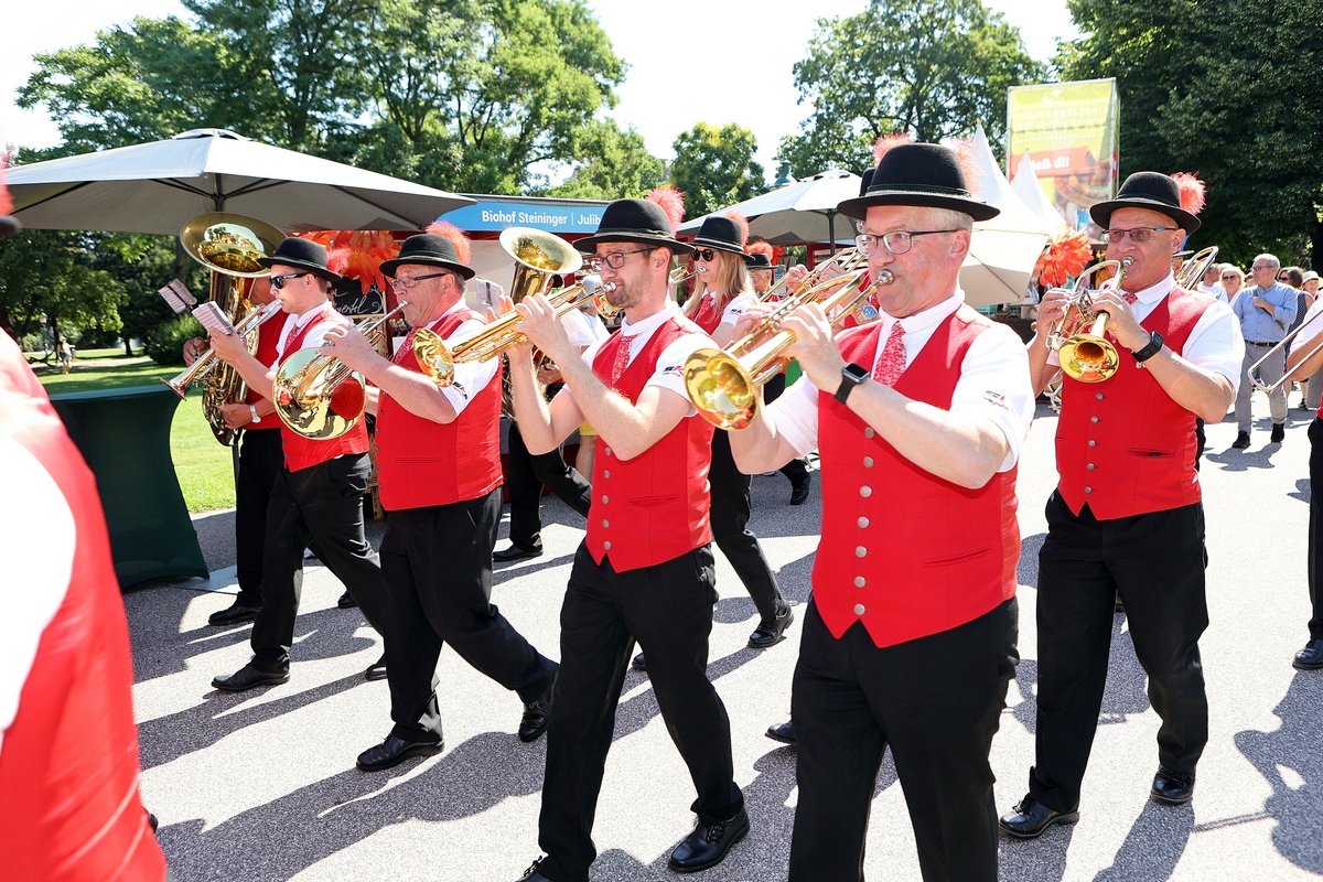 Musikausflug & Frühschoppen Wien