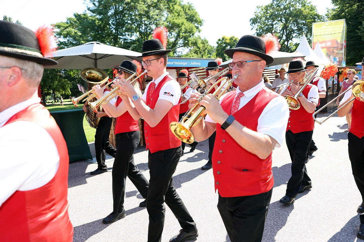 Musikausflug & Frühschoppen Wien