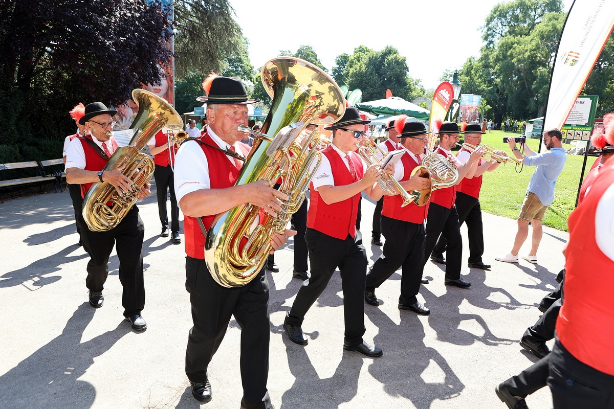 Musikausflug & Frühschoppen Wien