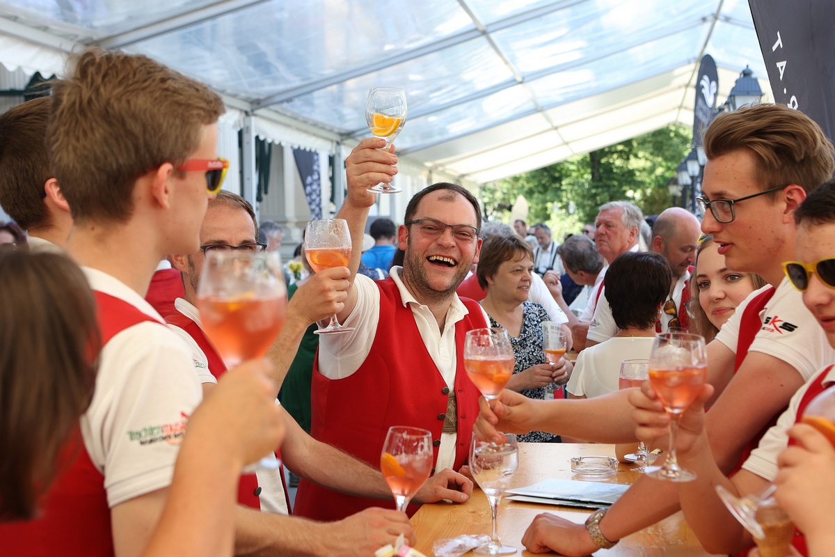 Musikausflug & Frühschoppen Wien